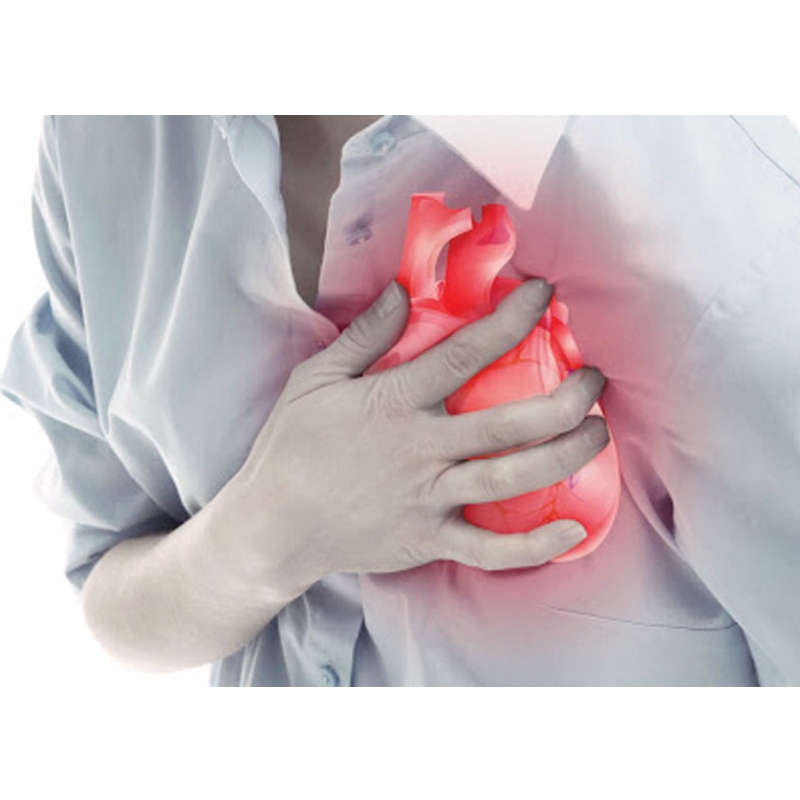 Universidad de Medicina de Nanjing: NMN mejora el infarto de miocardio