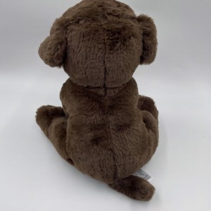 Chocolate marrón labrador labrador perra cachorro