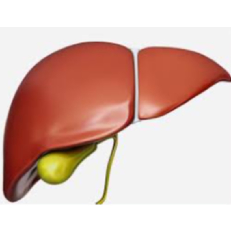 NMN previene el envejecimiento del hígado
