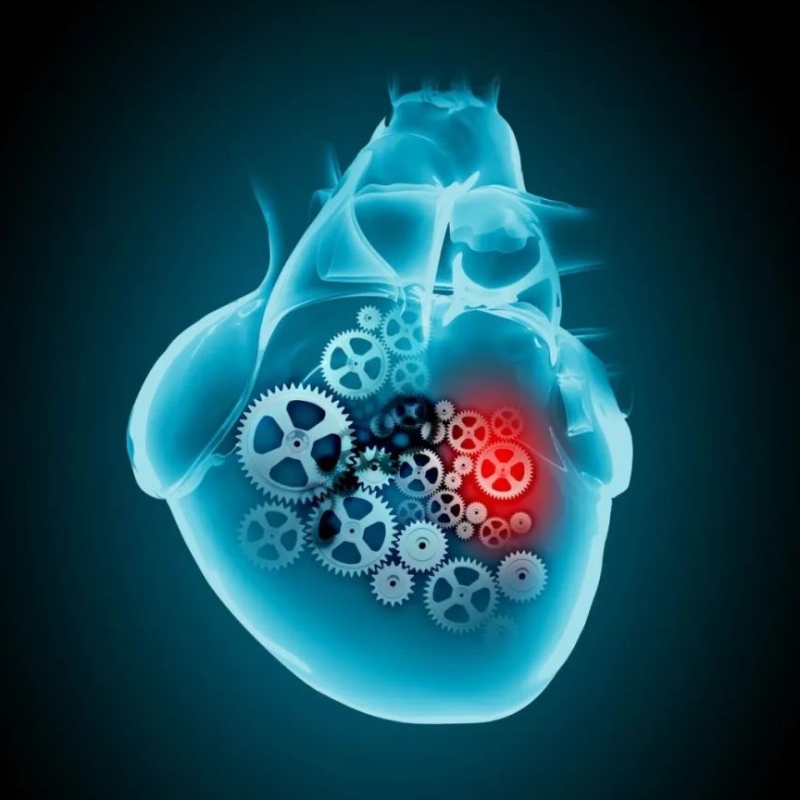 Progreso de investigación de NAD+en el tratamiento de enfermedades cardiovasculares