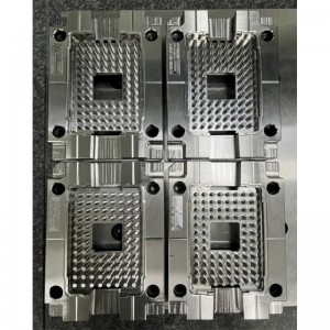 Molde de precisión multicavidad ibi-8