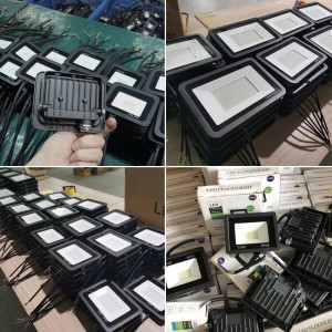 Pequeña luz de manzana