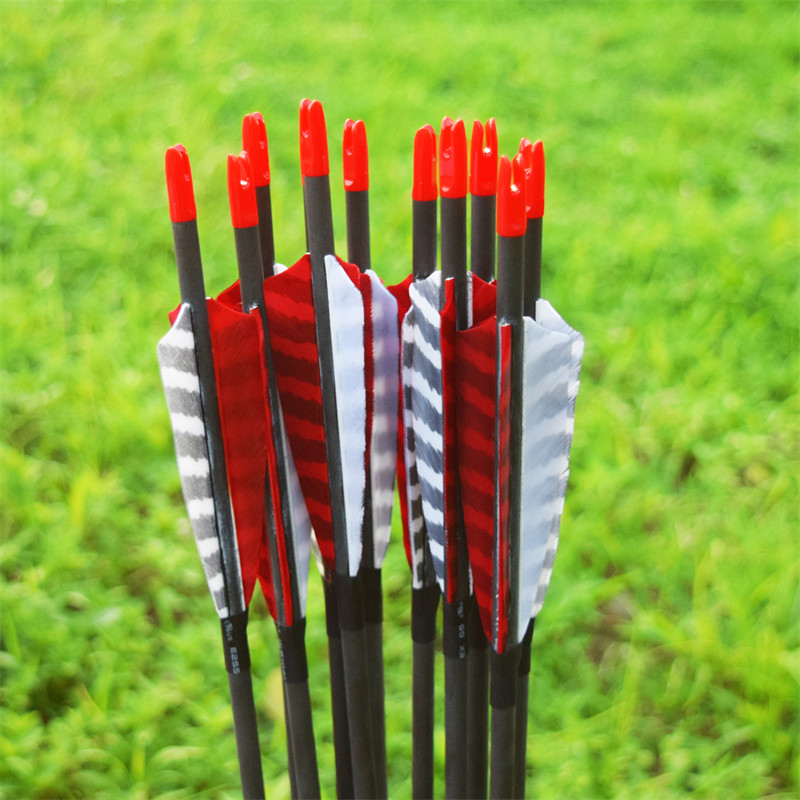 1646619785.jpg feather arrow4.jpg