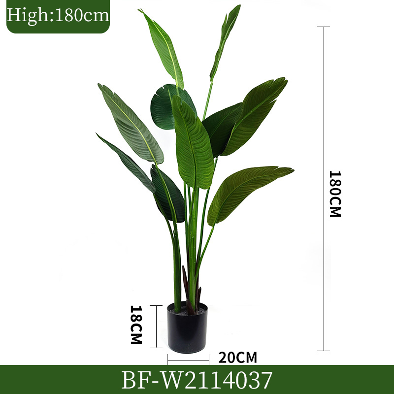 1695883103.jpg BF-W2114037.jpg