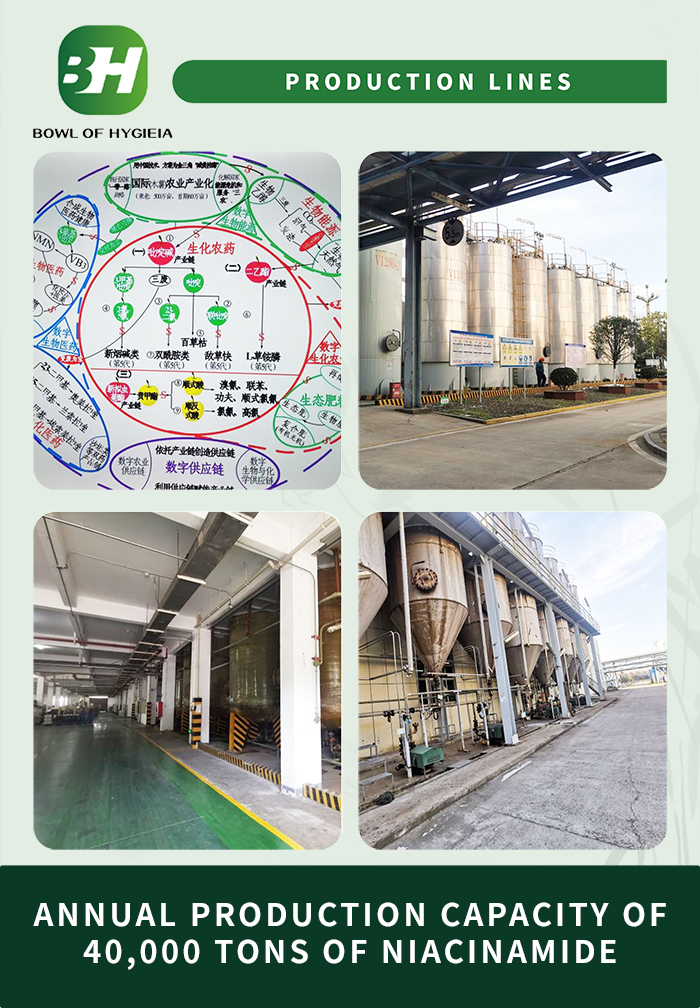 1704266923.jpg 3.jpg