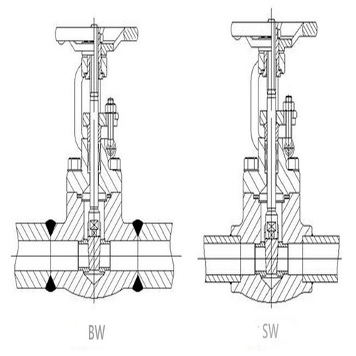 1591581583.jpg 20200414232918caaeb6285d0a4dd3b9f3ac332ddbce35.jpg