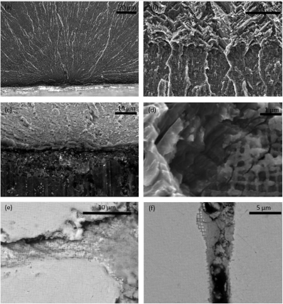 1630044286.png 图片11.png